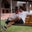 Jose Luis Jaramillo's profile image
