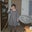 Dawn Grant's profile image