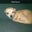 Kody Good's profile image