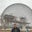Carlos Eduardo's profile image