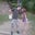 Brian Whetsel's profile image