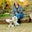 Susan Bozarth's profile image