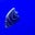 Shawni Hazen Fisher's profile image