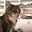 Lizabeth Adderley's profile image