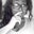 Faith MrsBubbles's profile image