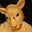 Fernando Lozada's profile image