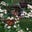 Sabrina Stouffer's profile image