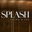 Splash Salon and Spa