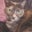 Vicki Thomas's profile image