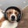 Kellen Story's profile image