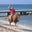 Bob Wernicke's profile image