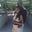 Carolina Sanchez's profile image