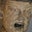 Eric Green's profile image