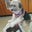 Lani Simonton's profile image