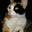 Johnnell Demery's profile image