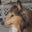 Michele Garvin's profile image
