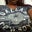 Felecia Robinson's profile image