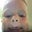 Caleb Martin's profile image