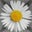 Suzz Gidd's profile image