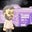 Joel Anderson's profile image