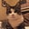 Kaitlin Sides's profile image