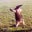 Kevin Olson's profile image