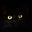 Mr Kitty's profile image