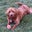 PAM FISCHER's profile image