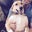Chip Cramer's profile image
