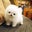 Noricorn 123's profile image