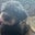 marlene kiefer's profile image