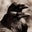 Kacy B's profile image