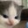 Reagan McCracken's profile image