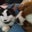 Cindy Fawkes's profile image