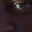 Bernard Dickerson's profile image