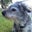 Deirdre Westenhauser's profile image