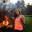 Emily Nelson's profile image