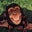 tomead .'s profile image