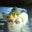 Christian Thompson's profile image