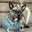 Policarpo al Fresco's profile image