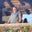 Bruce Pohlman's profile image
