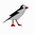 firstname gklsodascb's profile image