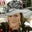 Lindsey Davidson's profile image