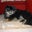 Maryrose Sullivan's profile image