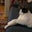 Annabelle Emm's profile image
