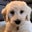 Max Attax's profile image