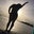 Liz Ockay's profile image