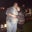 Alex Haymaker's profile image