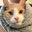 Ryan Zhang 🤪's profile image