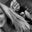 Makenzie Eady's profile image
